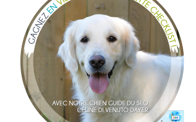 Avez-vous respecté ces règles pour que l’on vous trouve sur Google ?